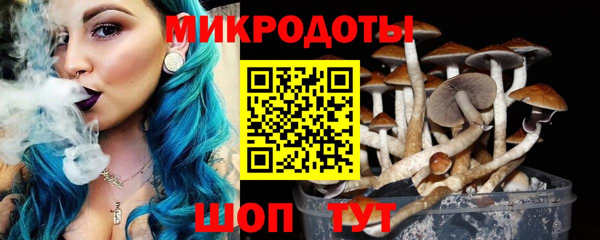 Галлюциногенные грибы Psilocybe  Вход с VPN  Киселёвск  Галлюциногенные грибы GOLDEN TEACHER 